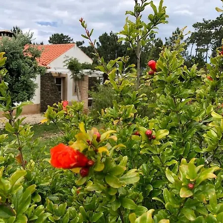 Casa Swagatam * Алжезур