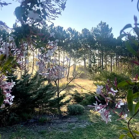 Villa Casa Swagatam *